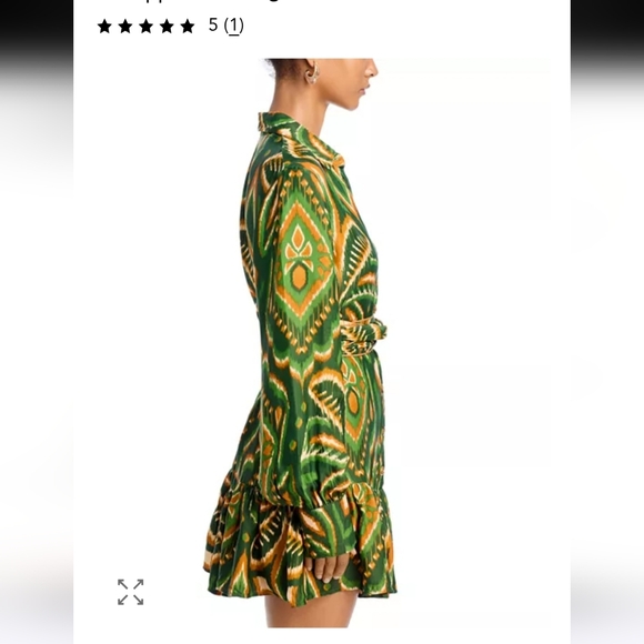 Farm Rio Pineapple Ikat Long Sleeve Minidress - Picture 6 of 10
